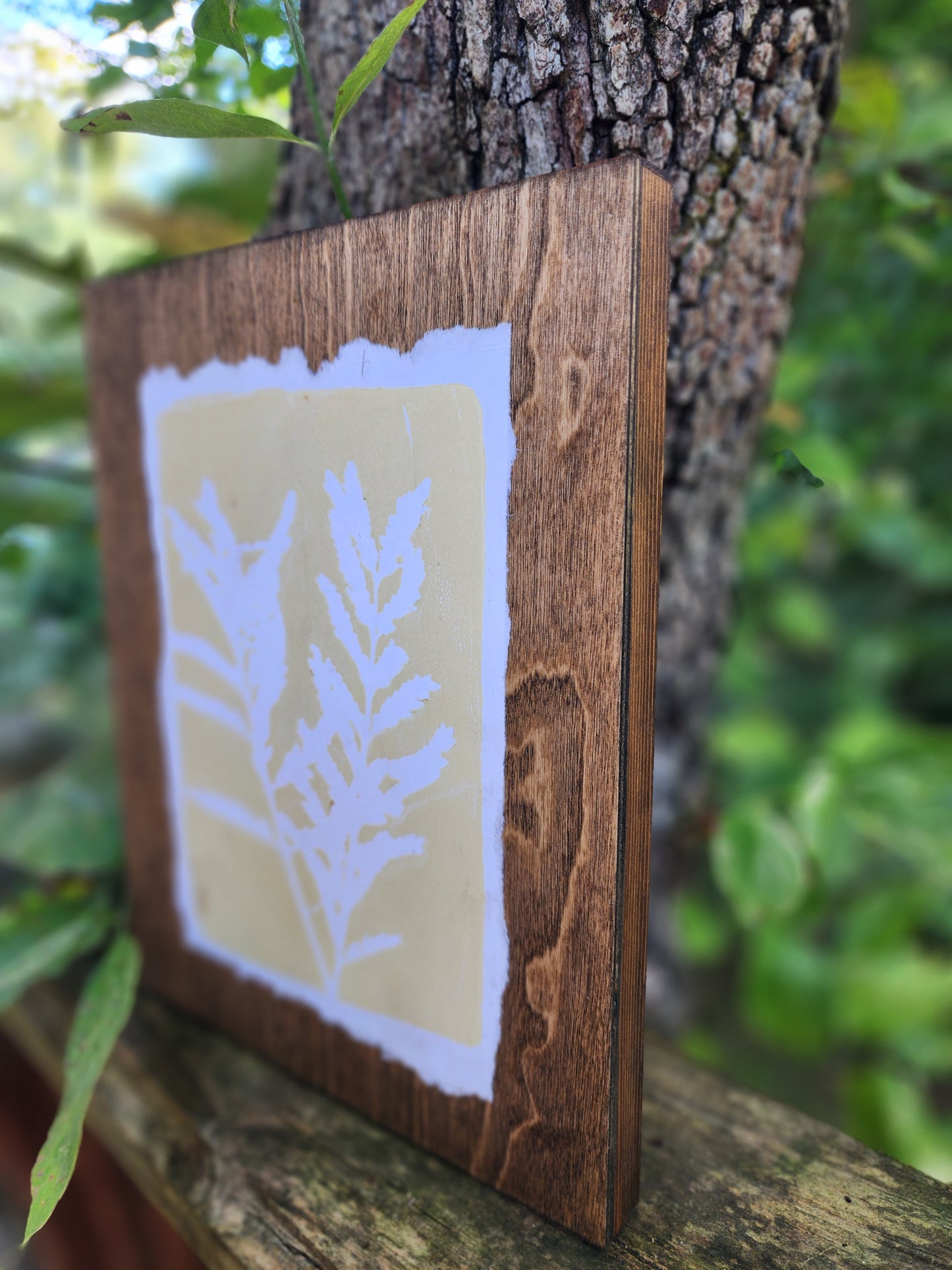 Desert Bird of Paradise VI