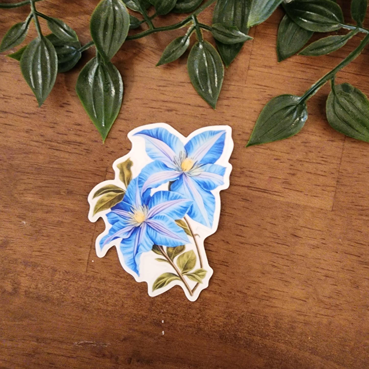 Blue Clematis Sticker — Refuse to Fade Collection
