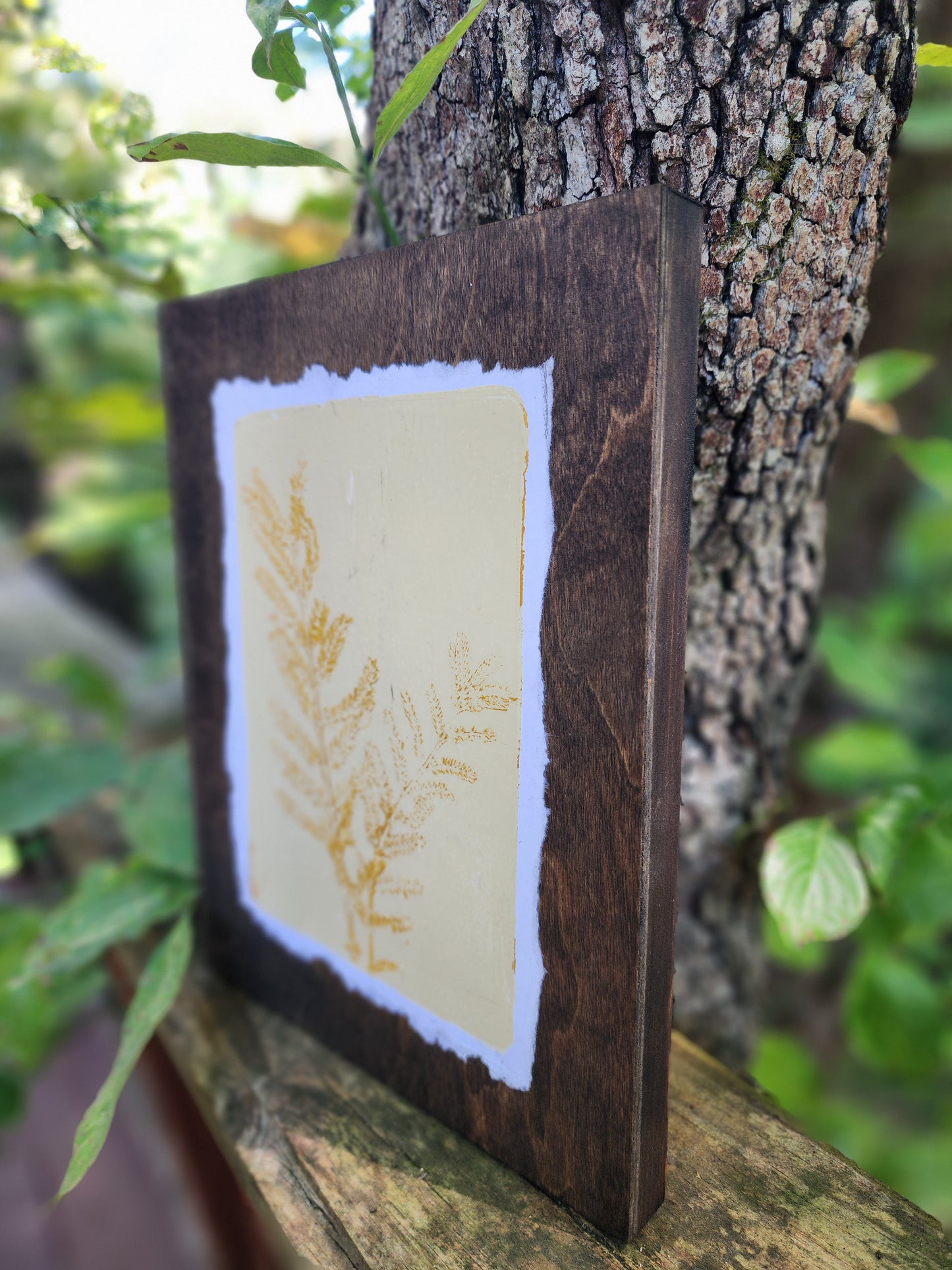 Desert Bird of Paradise III