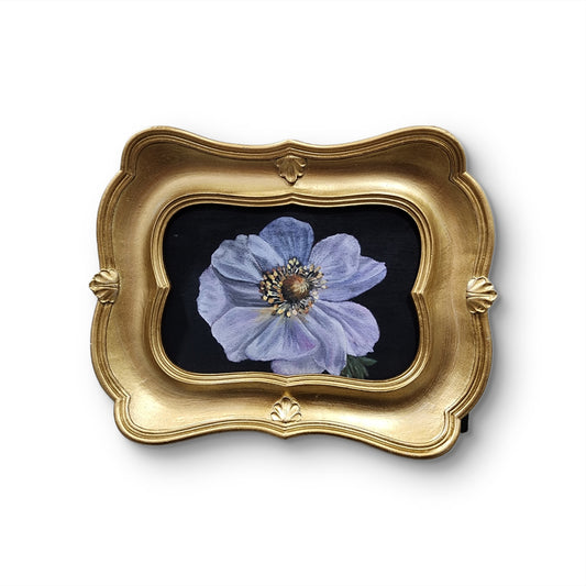 Anemone in Shadow Light – 4x6 Original Oil on Wood Panel (Framed)