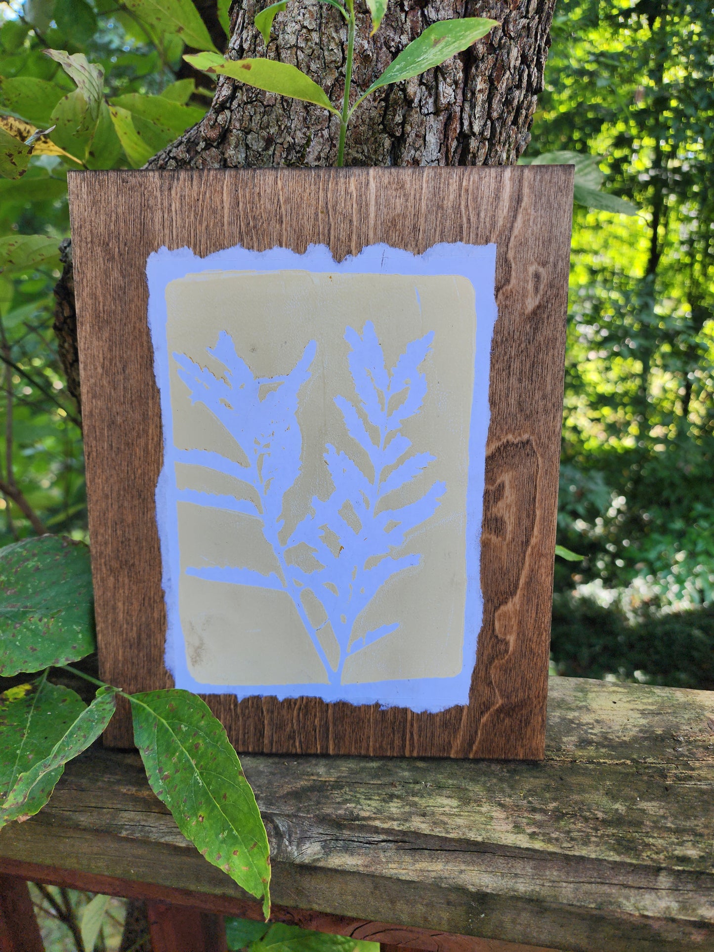 Desert Bird of Paradise VI