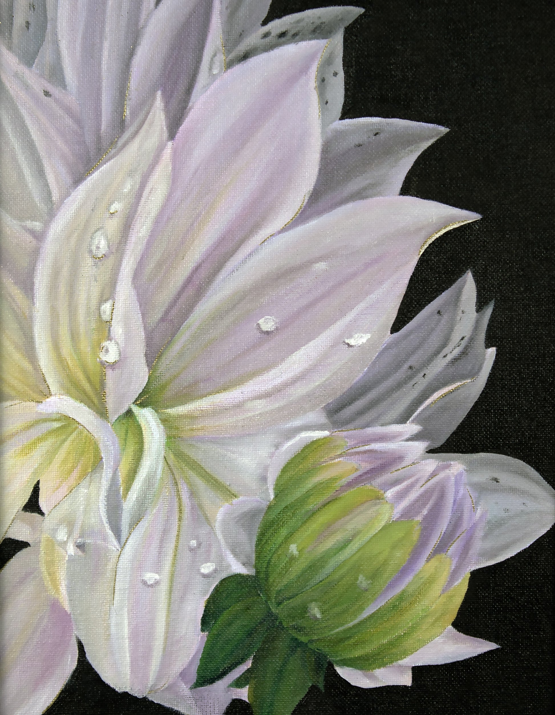 Close-up of a white flower with green leaves on a black background